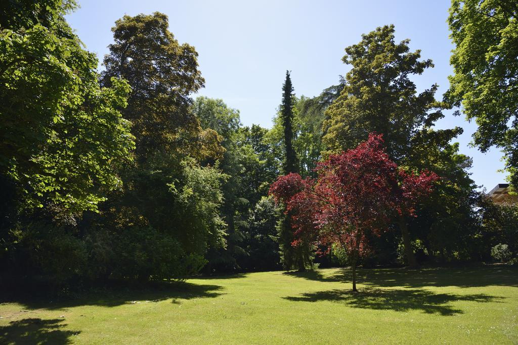 Le Chateau D'Hermonville B&B / Chambres D'Hotes المظهر الخارجي الصورة