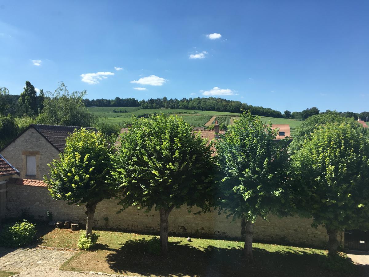 Le Chateau D'Hermonville B&B / Chambres D'Hotes المظهر الخارجي الصورة